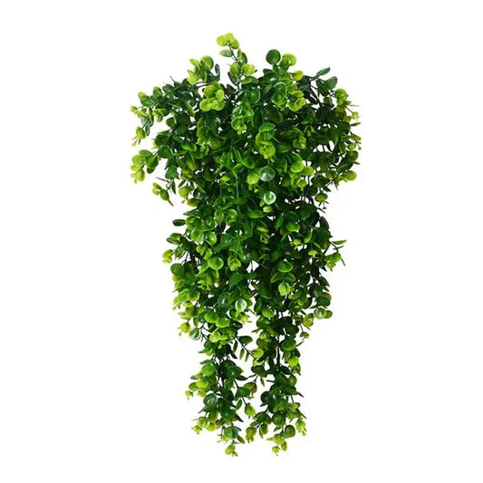 Leafy Luxe - Beautiful plant decor