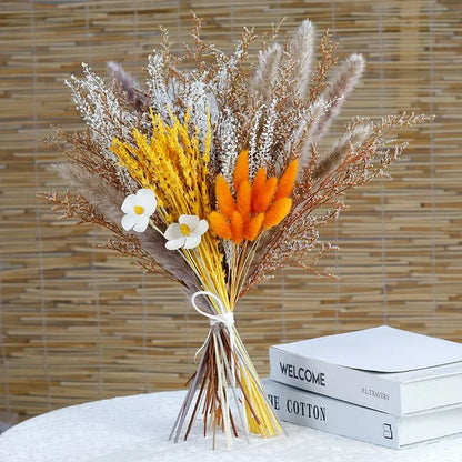 Velvety - Fluffy pampas grass