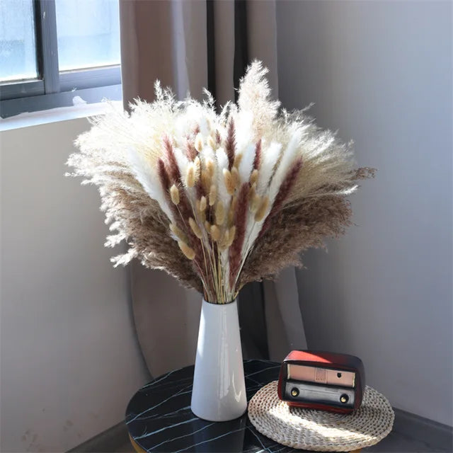 Velvety - Fluffy pampas grass