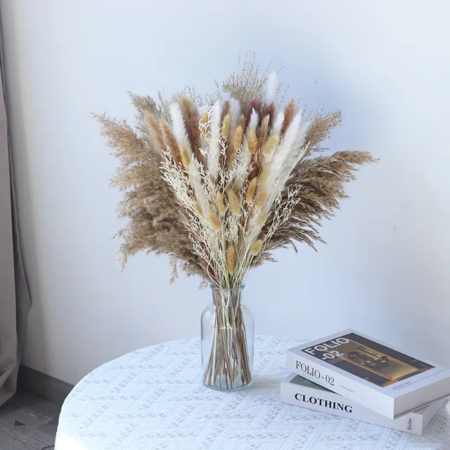 Velvety - Fluffy pampas grass