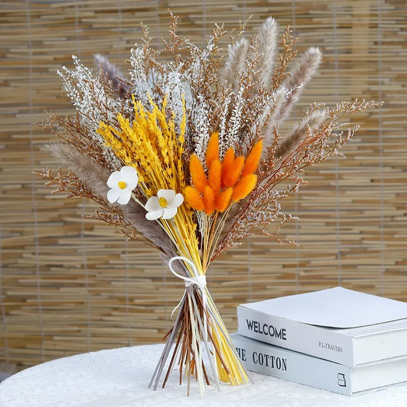 Velvety - Fluffy pampas grass