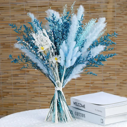 Velvety - Fluffy pampas grass