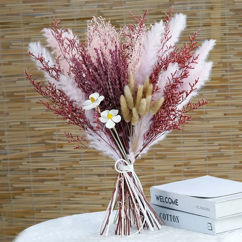 Velvety - Fluffy pampas grass
